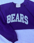 Bears Applique Sweatshirt